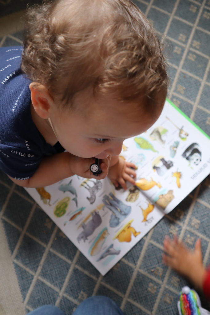 pre-reading literacy strategies for babies and toddlers